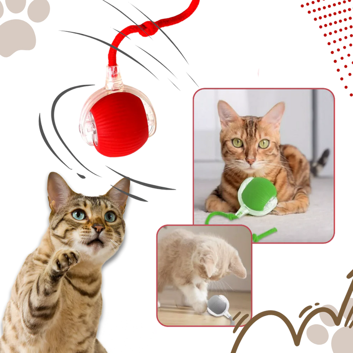 Self-Moving Cat Ball for Active Indoor Play and Exercise