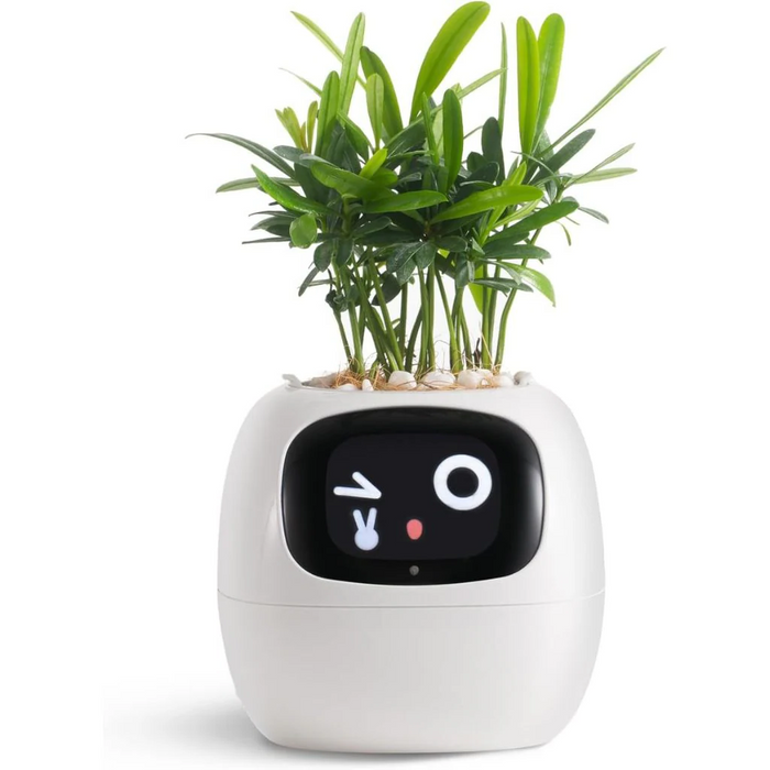 Harwelton™ Smart Plant Pot with Self-Watering and Soil Monitoring