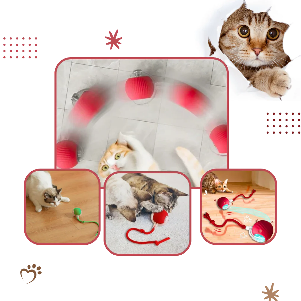 Harwelton™ Smart Interactive Cat Ball That Rolls and Avoids Obstacles