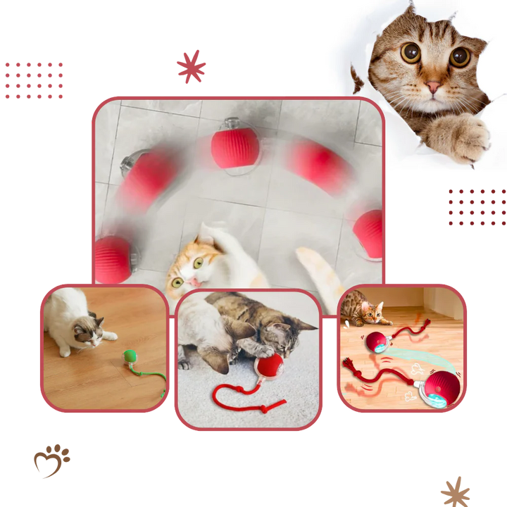 Self-Moving Cat Ball for Active Indoor Play and Exercise