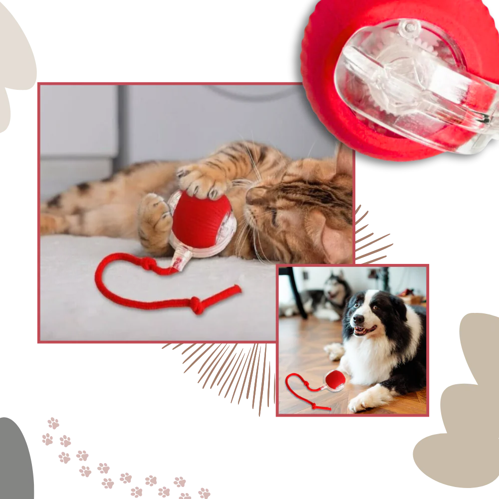 Self-Moving Cat Ball for Active Indoor Play and Exercise