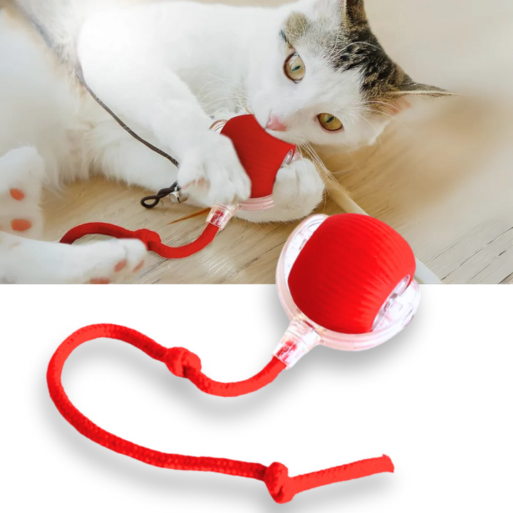Harwelton™ Smart Interactive Cat Ball That Rolls and Avoids Obstacles