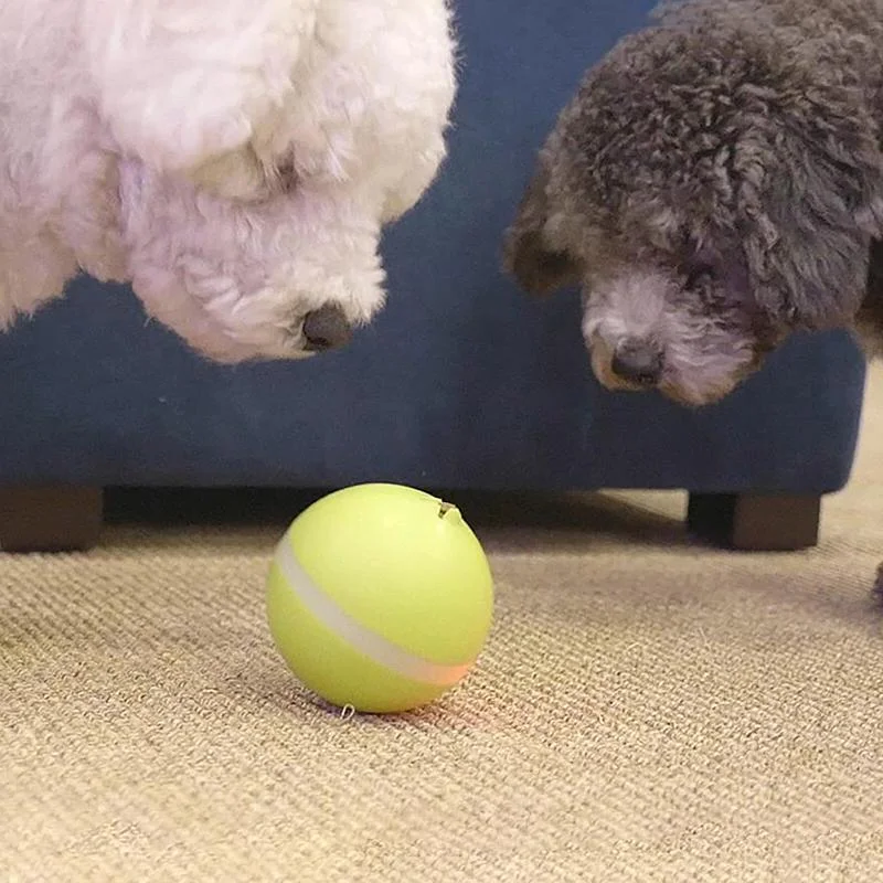 Interactive Motion Ball for Cats and Dogs, Rechargeable