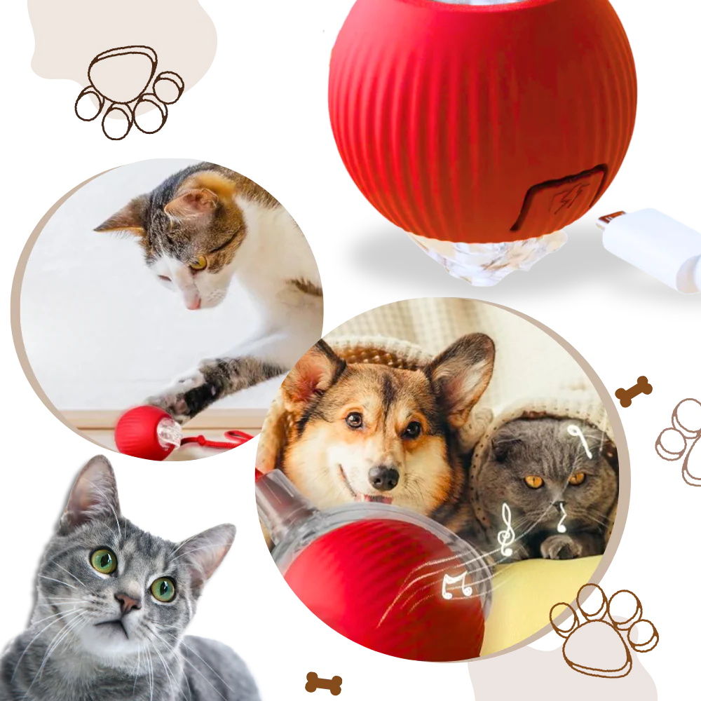 Harwelton™ Smart Interactive Cat Ball That Rolls and Avoids Obstacles