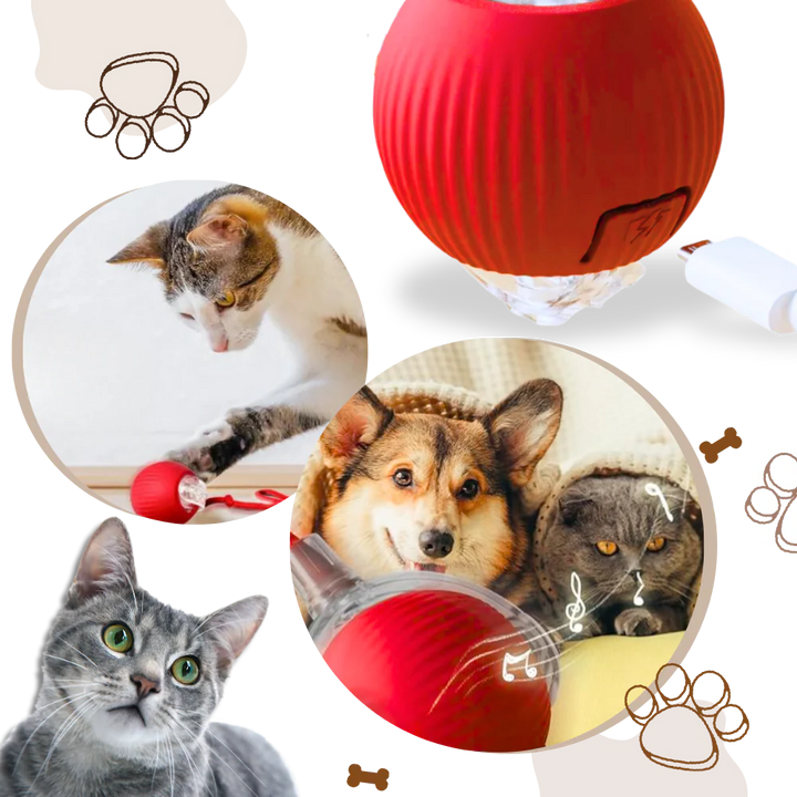 Self-Moving Cat Ball for Active Indoor Play and Exercise