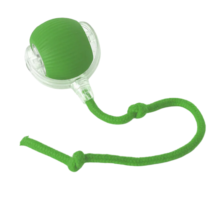 Self-Moving Cat Ball for Active Indoor Play and Exercise