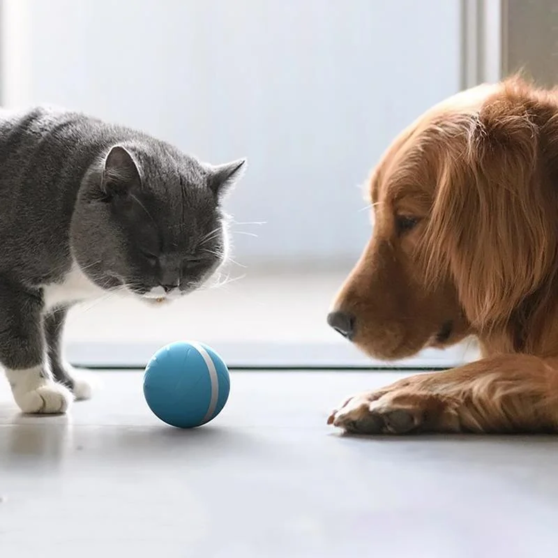 Interactive Motion Ball for Cats and Dogs, Rechargeable