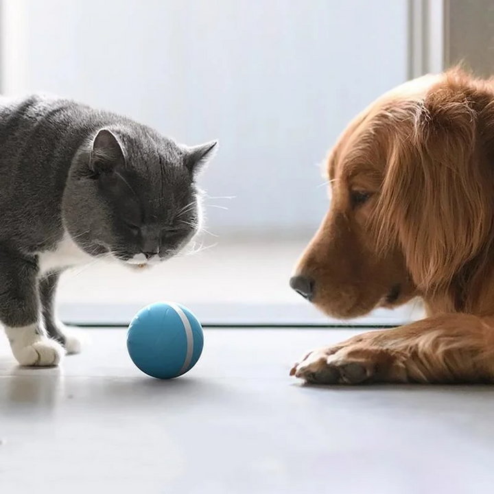 Interactive Motion Ball for Cats and Dogs, Rechargeable
