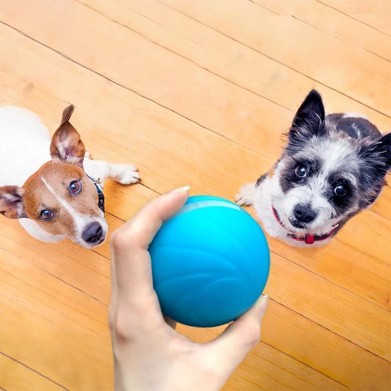 Interactive Motion Ball for Cats and Dogs, Rechargeable