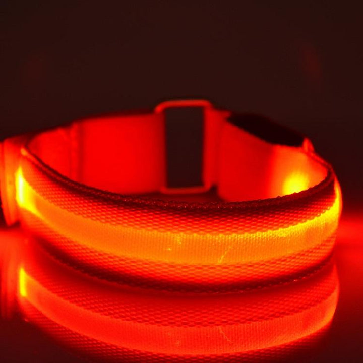 Harwelton™ Glowing LED Sports Armband for Running and Cycling