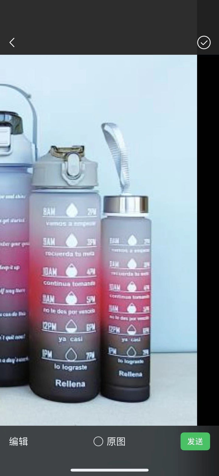 Harwelton™ Motivational Water Bottle with Time Markings and Flip Lid