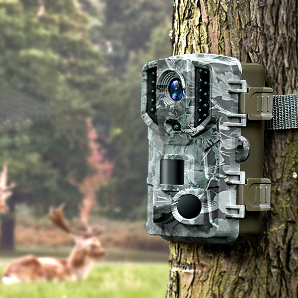 Wireless HD Trail Camera with Night Vision &amp; Motion Sensor
