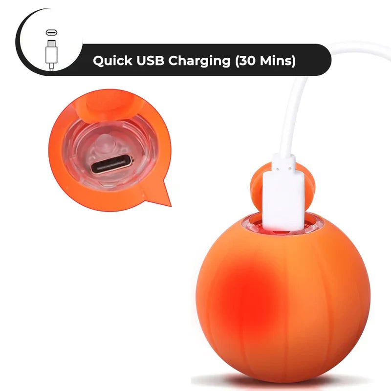 Self-Rolling Smart Cat Ball with 3 Play Modes